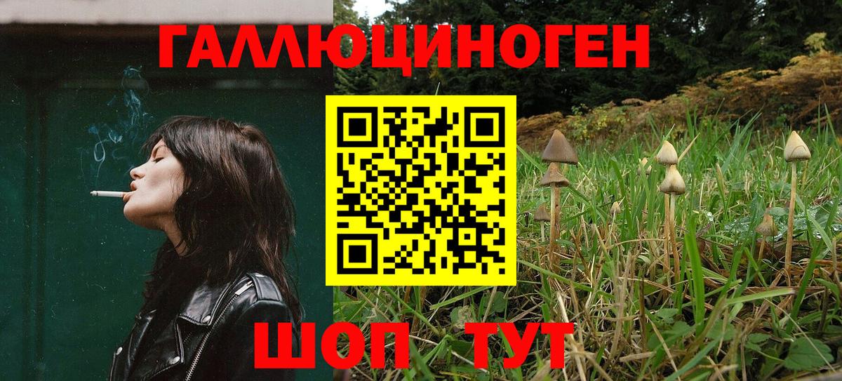 Псилоцибиновые грибы ЛСД Улан-Удэ