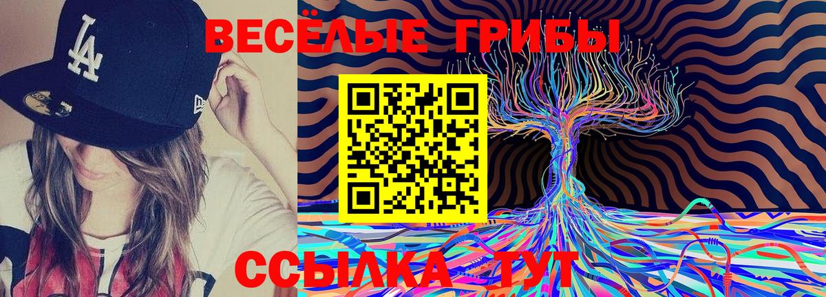 Улан-Удэ  как найти закладки  Галлюциногенные грибы Magic Shrooms  Вход с VPN  Псилоцибиновые грибы Cubensis 
